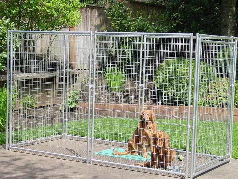 Hayvan Barınağı Yapımında Dikkat Edilmesi Gereken Güvenlik Önlemleri